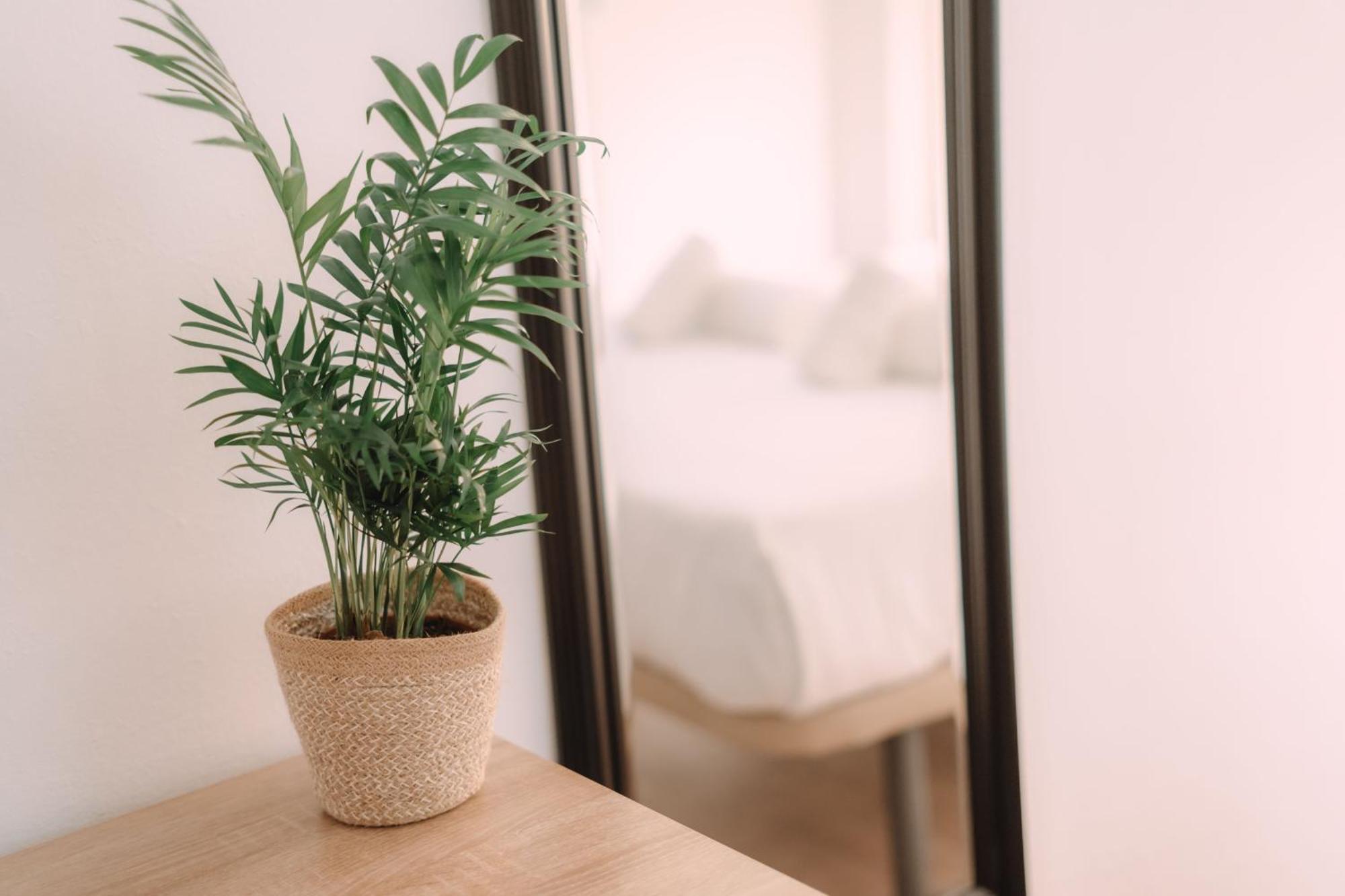 Concept Rooms Valencia Luaran gambar